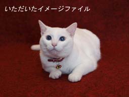 届いたイメージファイル