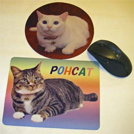 �ޥ����ѥå�(����)