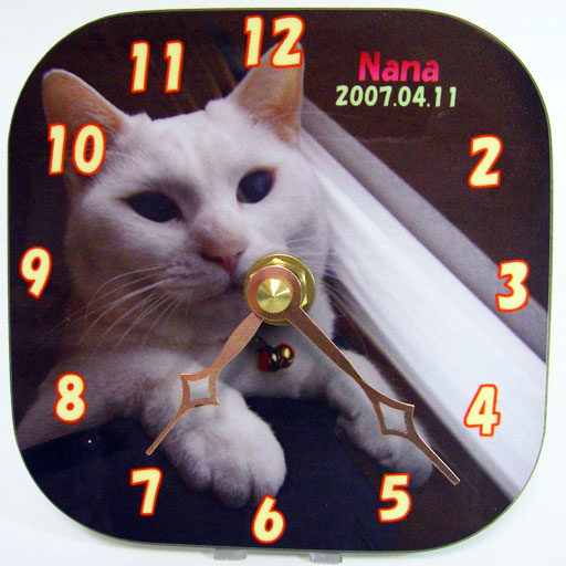 ������ 100mm x 100mm