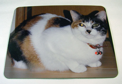 �ޥ����ѥåɡʥ��åɡ� 230mm x 190mm