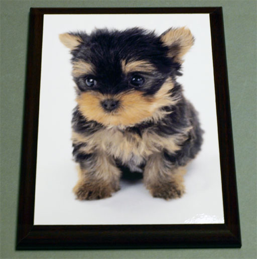 ��ǰ��150mm x 200mm