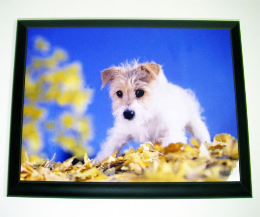 ��ǰ��180mm x 230mm