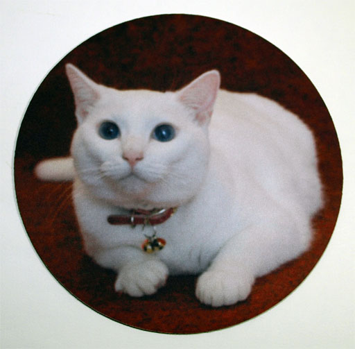 �ޥ����ѥå� ��190mm